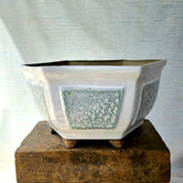 Hexagon Bonsai Pot