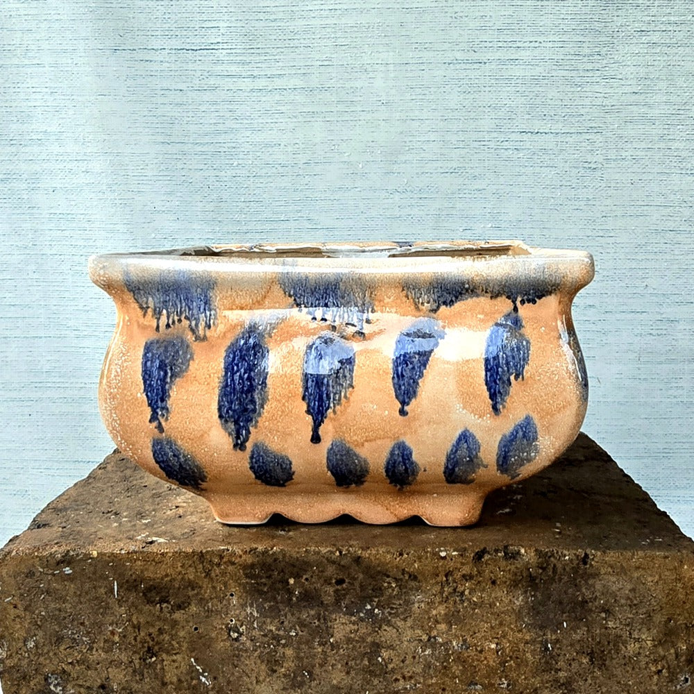 Square Bonsai Pot 24cm x 15.5cm
