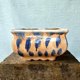Square Bonsai Pot 24cm x 15.5cm