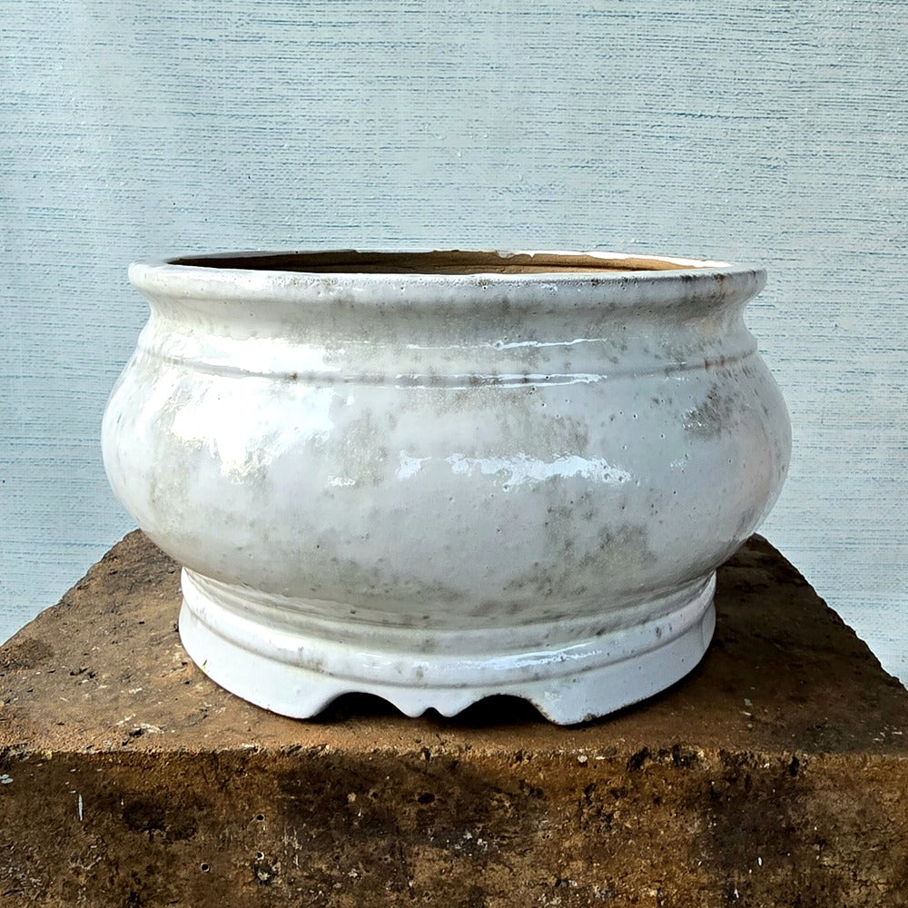 Round Bonsai Pot