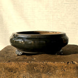 Round Bonsai Pot 21cm x 10cm