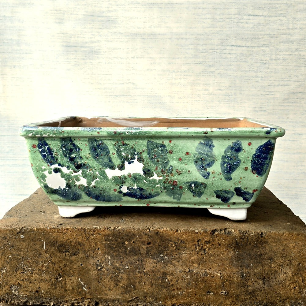 Rectangle Bonsai Pot 34cm x 24cm