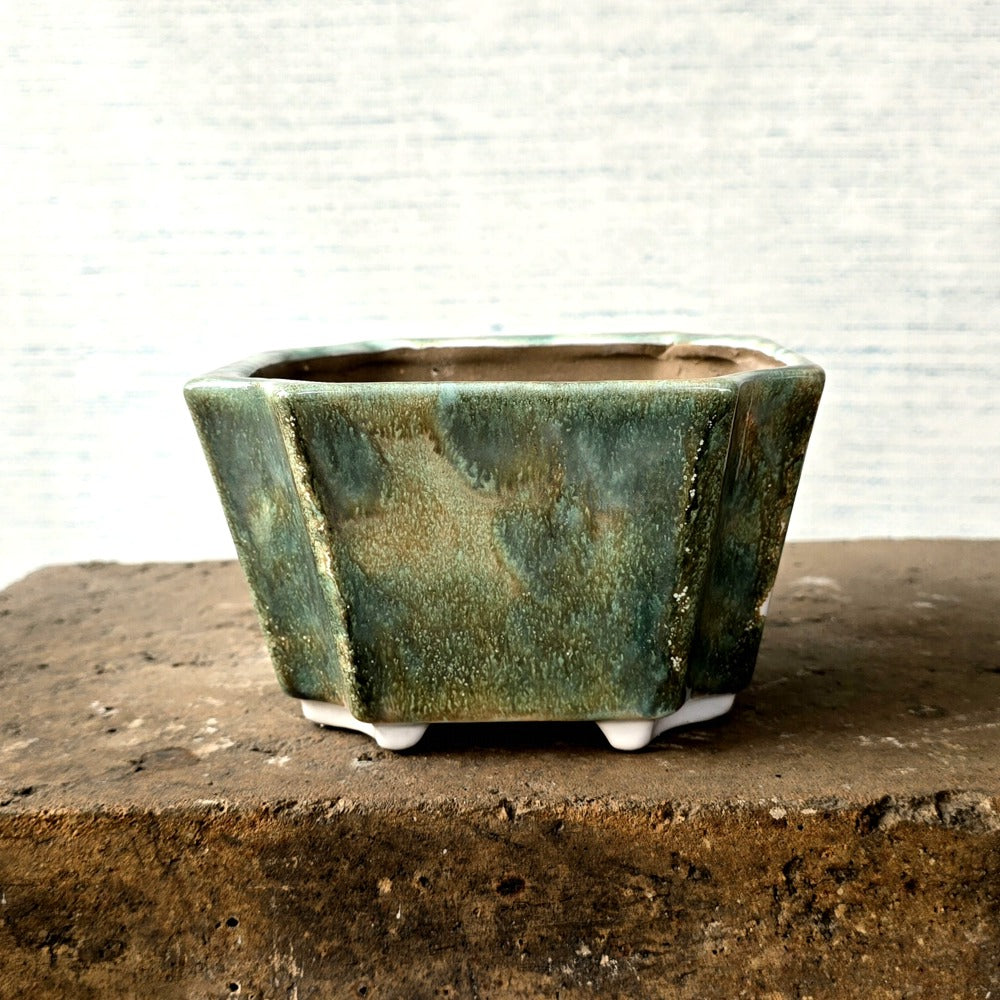 Rectangle Bonsai Pot cm x cm
