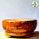 Round Bonsai Pot 33cm x 11cm