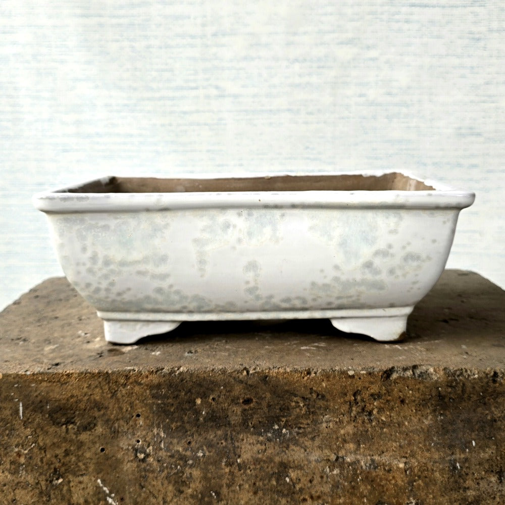 Rectangle Bonsai Pot 34cm x 24cm