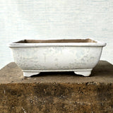 Rectangle Bonsai Pot 34cm x 24cm