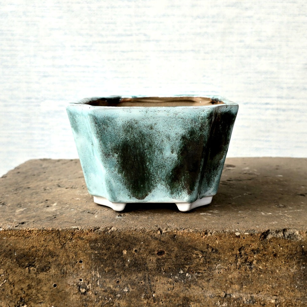 Rectangle Bonsai Pot cm x cm