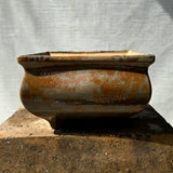 Square Bonsai Pot 24cm x 15.5cm