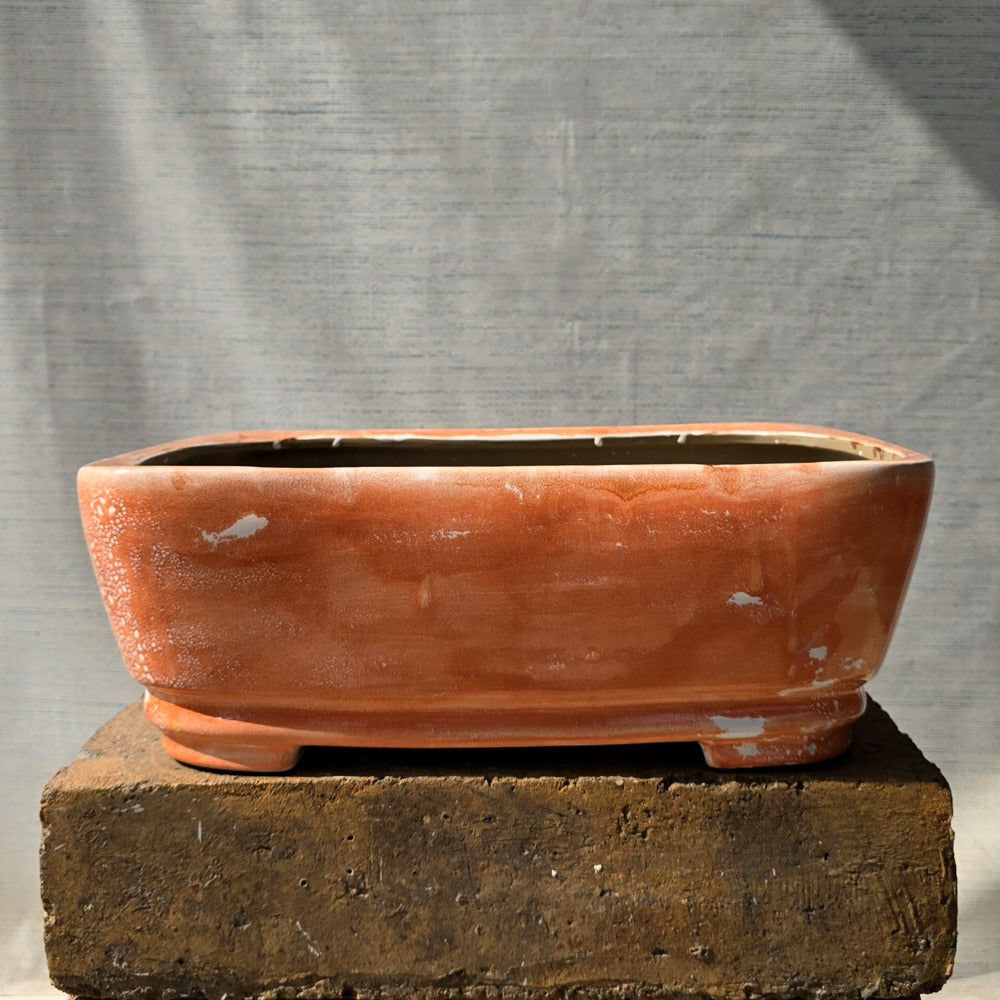Rectangle Bonsai Pot