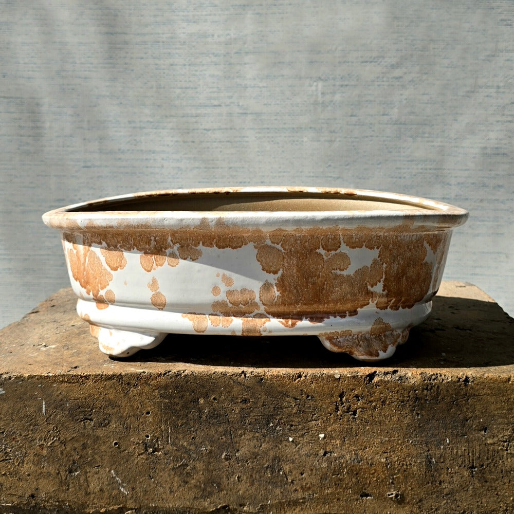 Oval Bonsai Pot 26.5cm x 20.5cm
