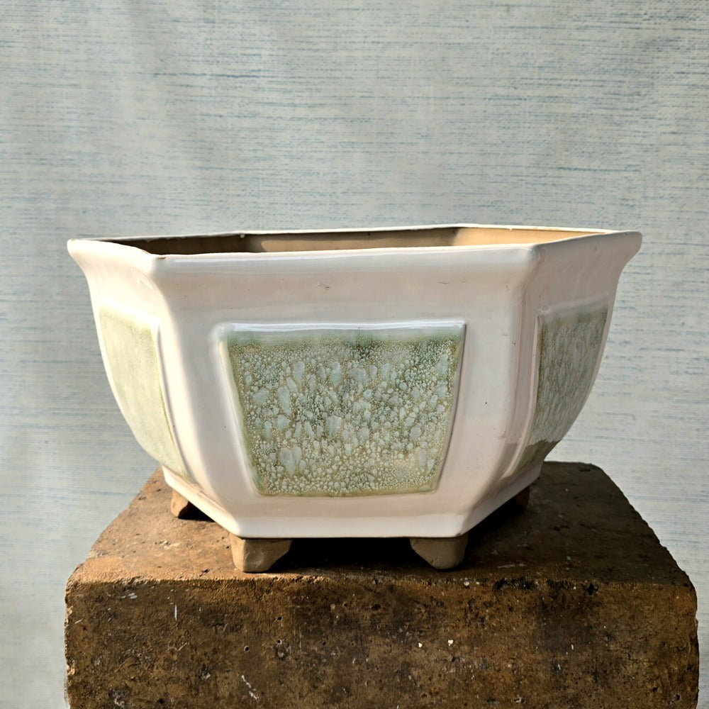 Hexagon Bonsai Pot