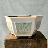 Hexagon Bonsai Pot