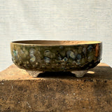 Oval Bonsai Pot 34cm x 22cm