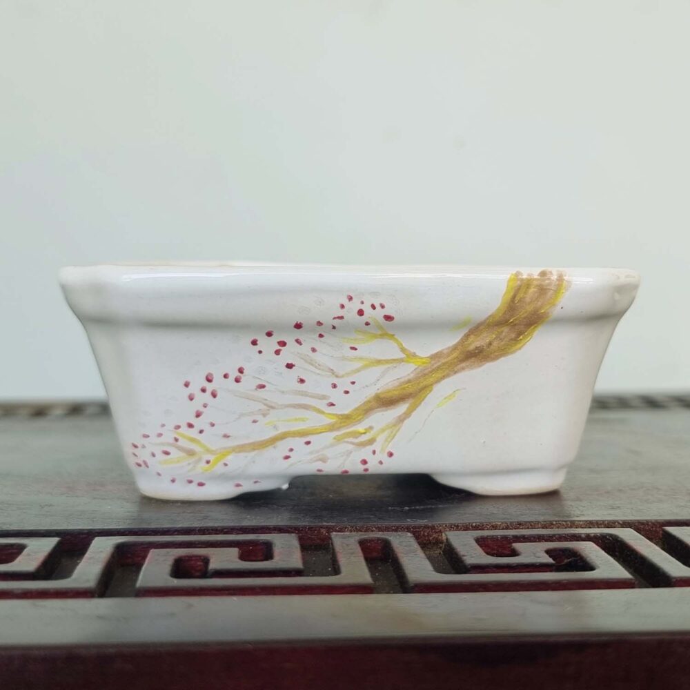 Rectangle Bonsai Pot 9cm x 6cm