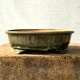 Oval Bonsai Pot 26.5cm x 20.5cm