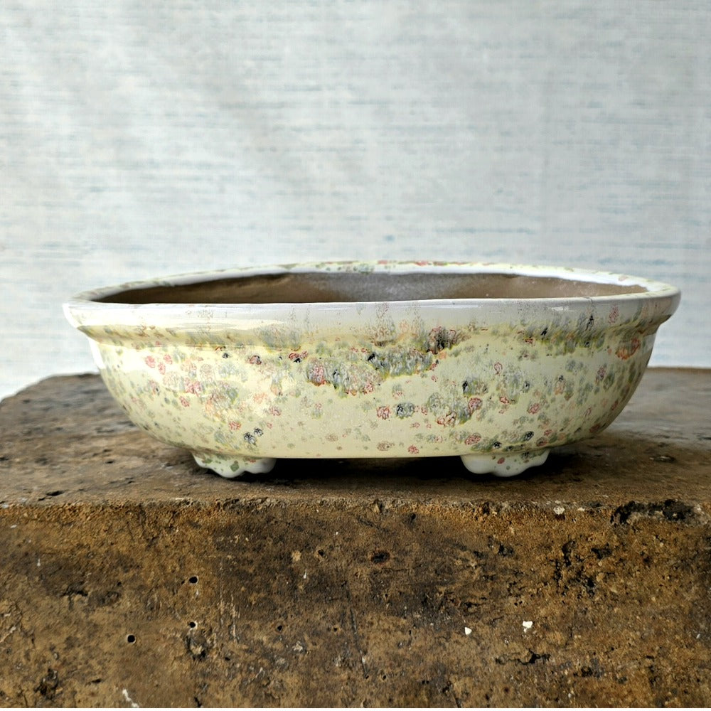 Oval Bonsai Pot 25cm x 15cm