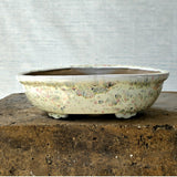 Oval Bonsai Pot 25cm x 15cm