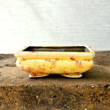 Rectangle Bonsai Pot 15cm x 10cm