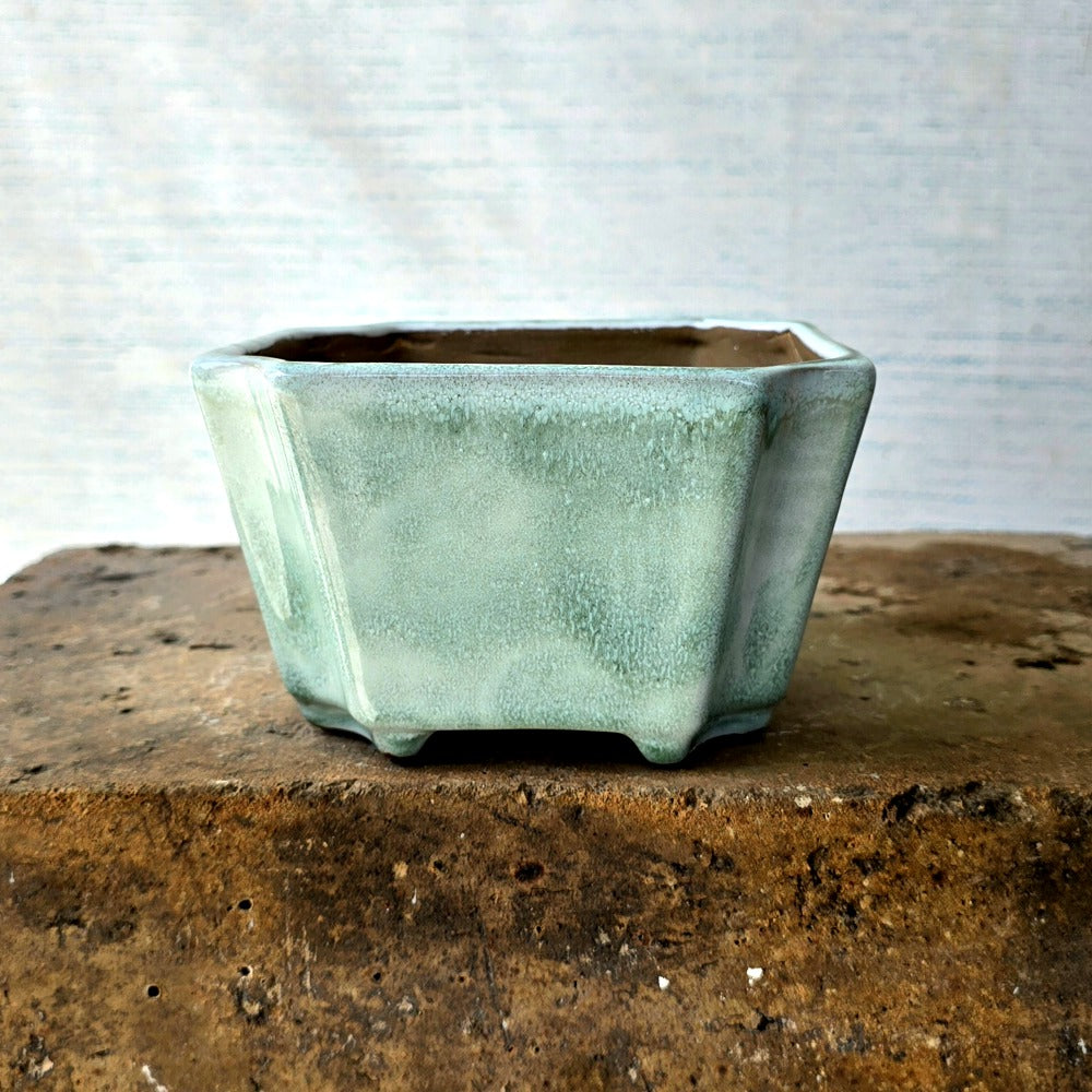 Rectangle Bonsai Pot cm x cm