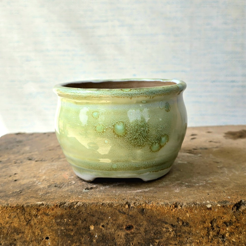 Round Bonsai Pot cm x cm