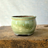 Round Bonsai Pot cm x cm