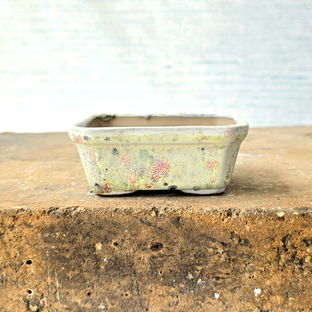 Rectangle Mini Bonsai Pot