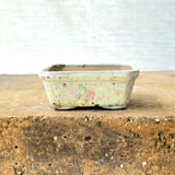 Rectangle Mini Bonsai Pot