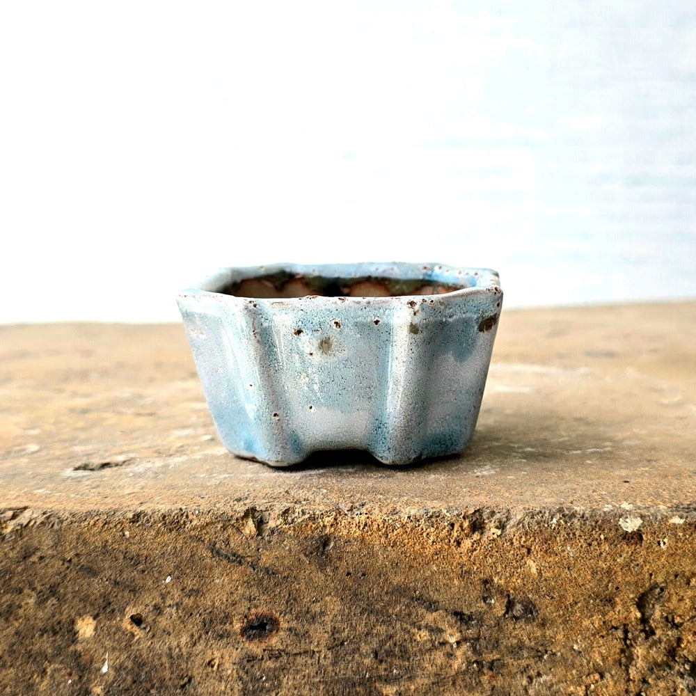 Square Bonsai Pot