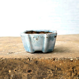 Square Bonsai Pot