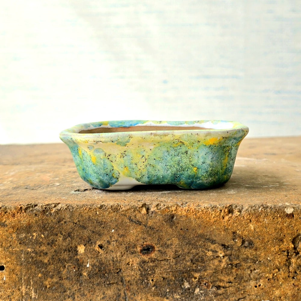 Rectangle Mini Bonsai Pot