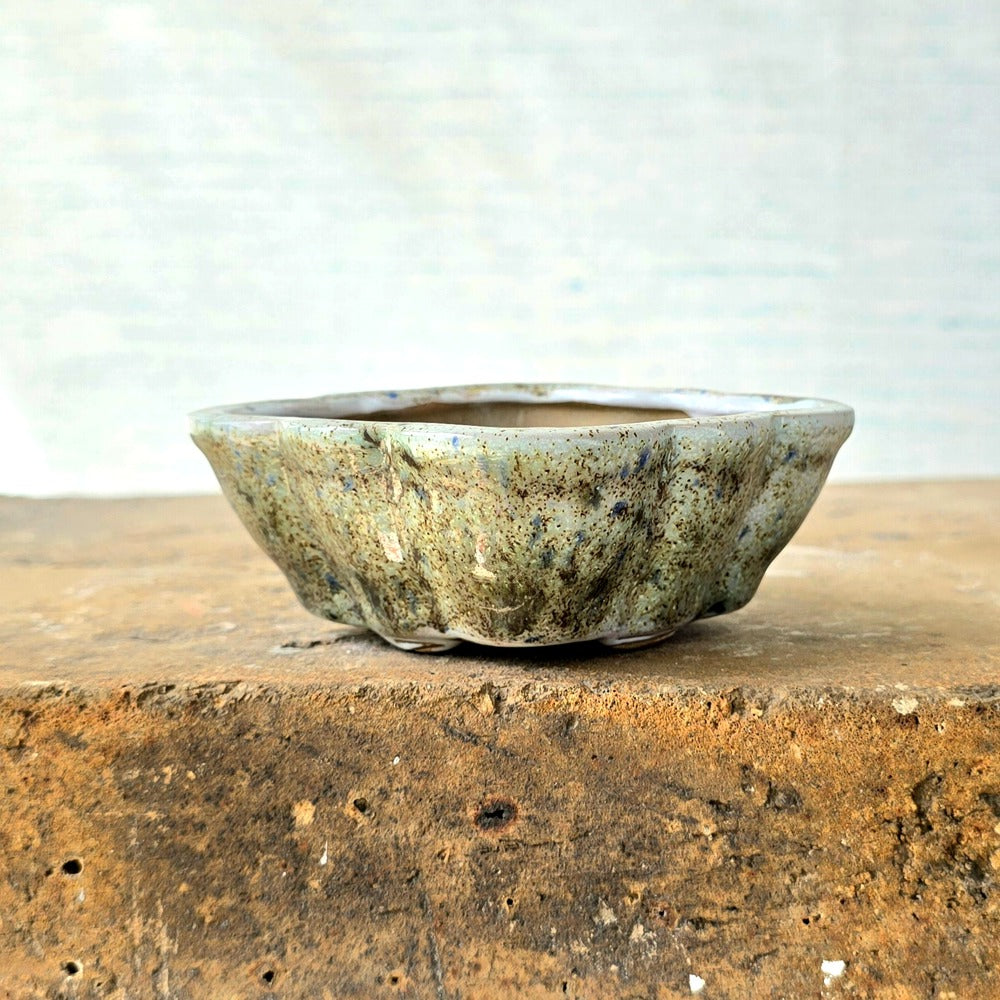 Oval Mini Bonsai Pot