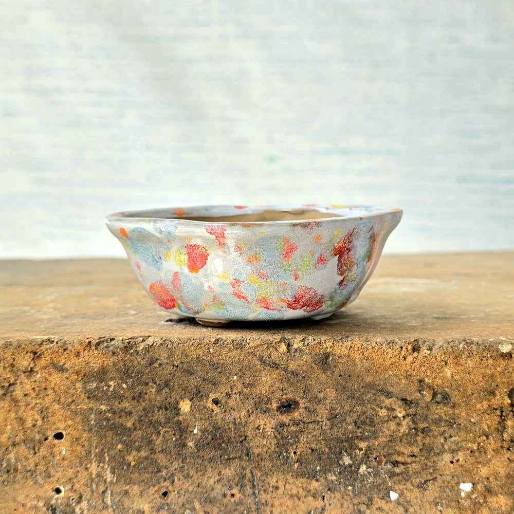 Oval Mini Bonsai Pot