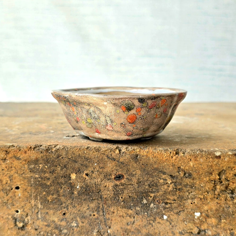 Oval Mini Bonsai Pot