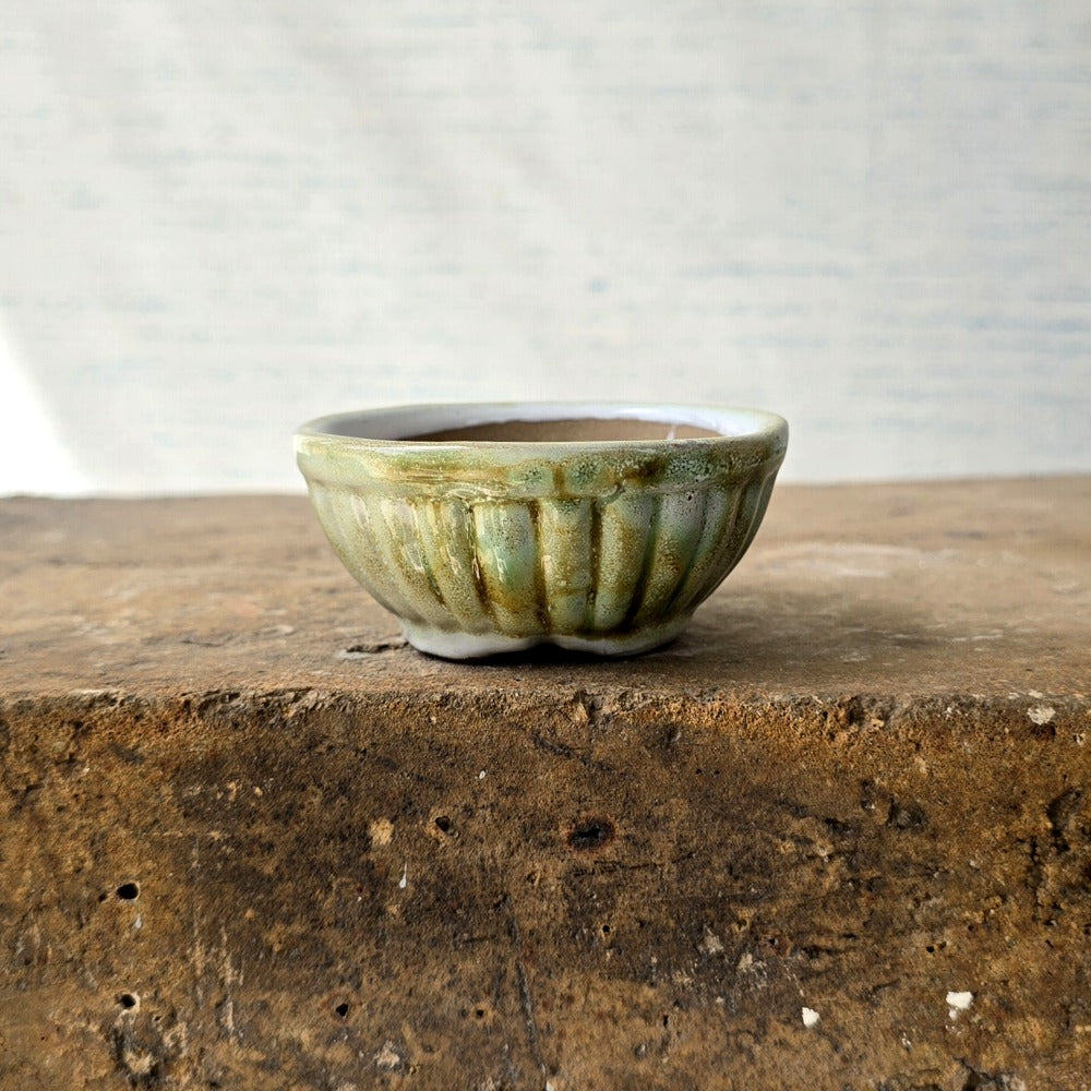Round Mini Bonsai Pot