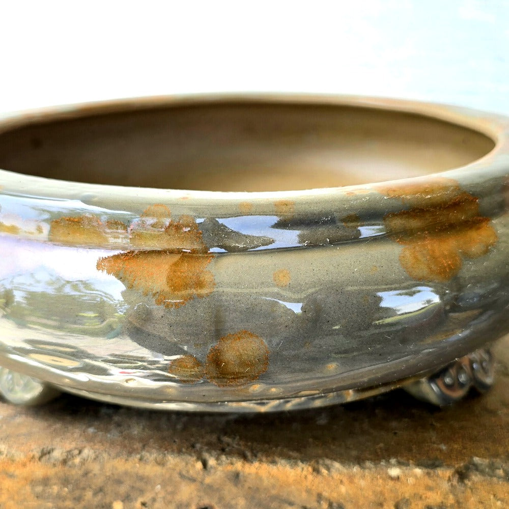 Round Bonsai Pot 21cm x 10cm