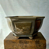 Hexagon Bonsai Pot