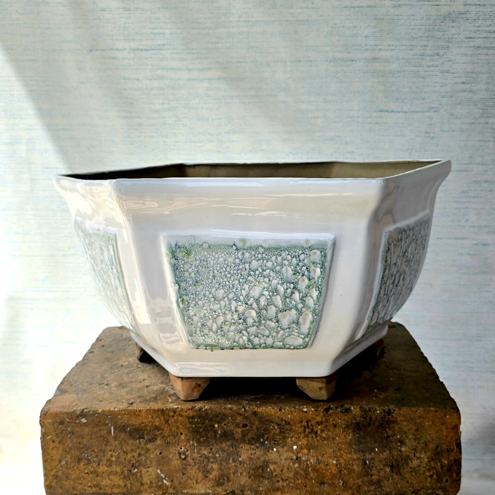 Hexagon Bonsai Pot