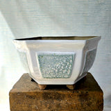 Hexagon Bonsai Pot