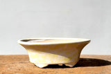 Oval Bonsai Pot 15.5cm x 10cm