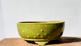 Round Bonsai Pot 20cm x 6cm