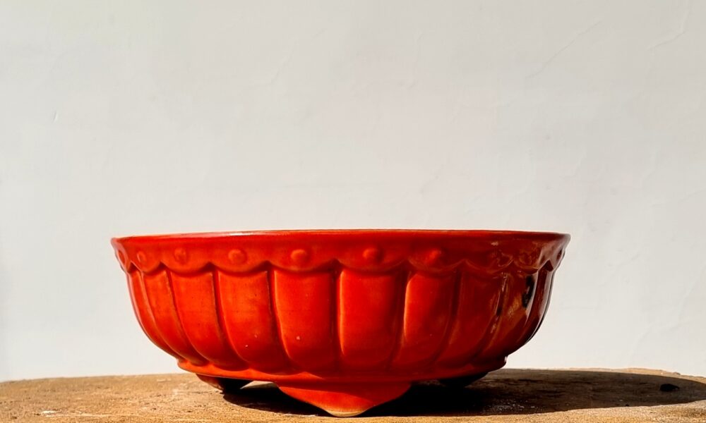 Round Bonsai Pot 23cm x 6cm