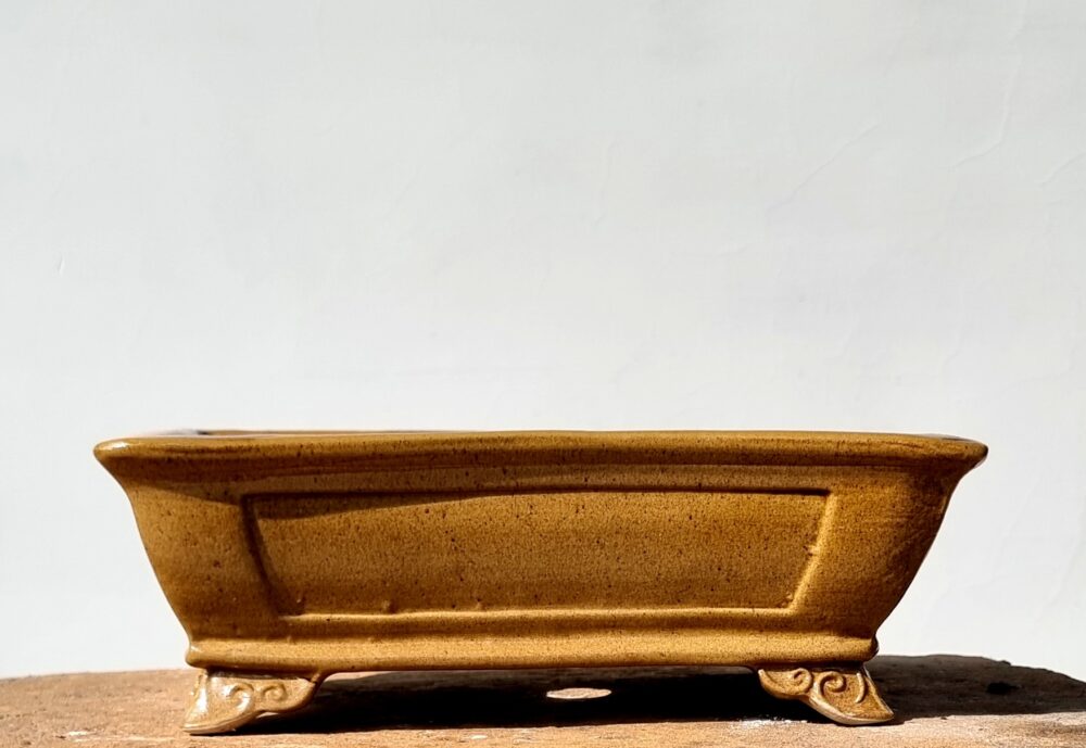 Rectangle Bonsai Pot 26cm x 19cm