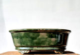 Oval Bonsai Pot 36cm x 21cm