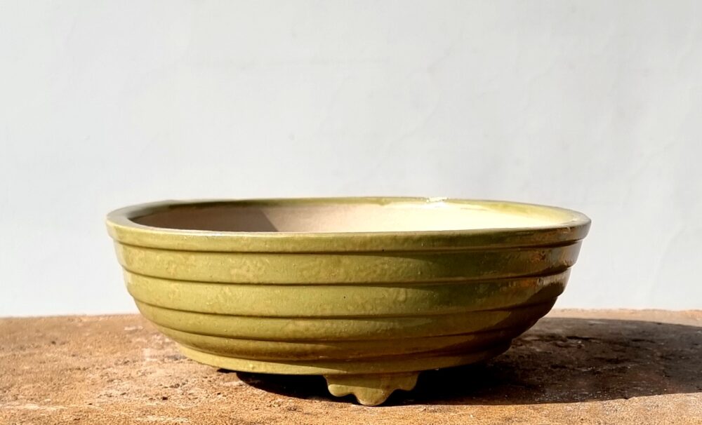 Round Bonsai Pot 19cm x 4.5cm