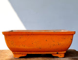Rectangle Bonsai Pot 27cm x 19cm