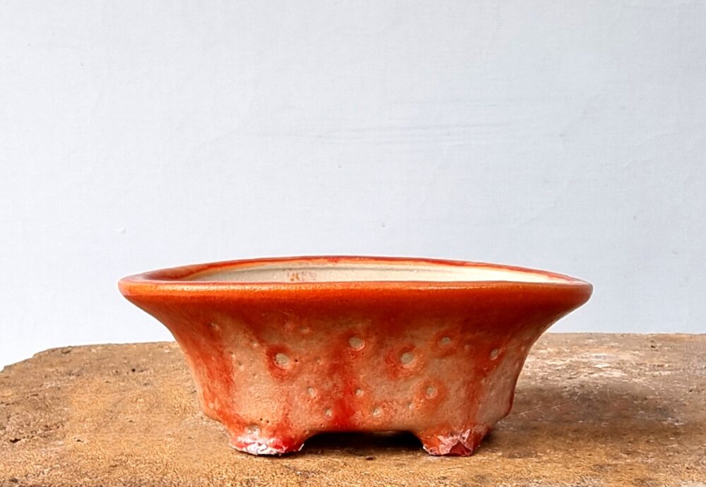 Oval Bonsai Pot 15.5 x 10