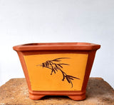 Square Bonsai Pot 25cm x 15cm