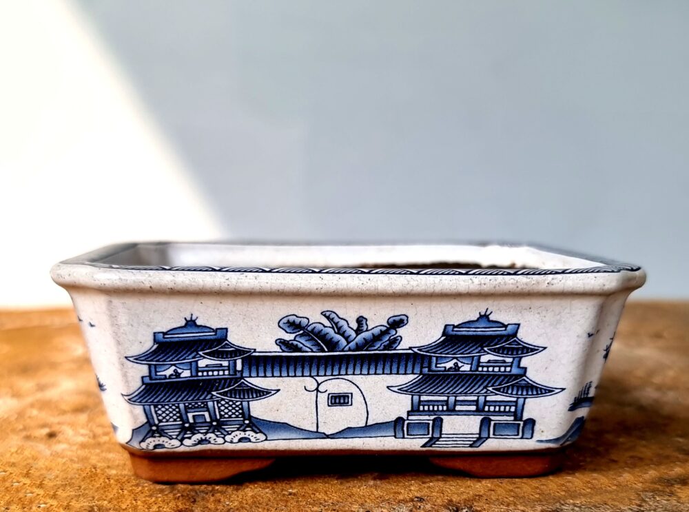 Rectangle Bonsai Pot 11cm x 8.5cm