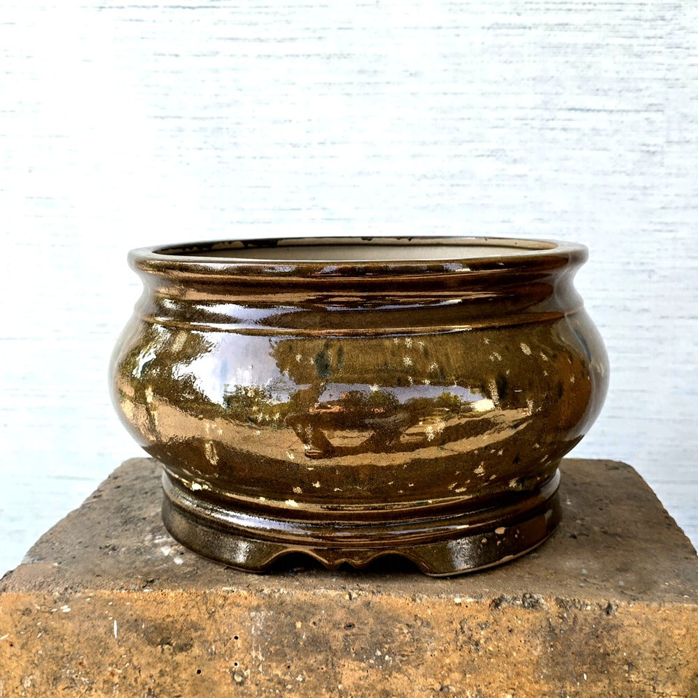 Round Bonsai Pot