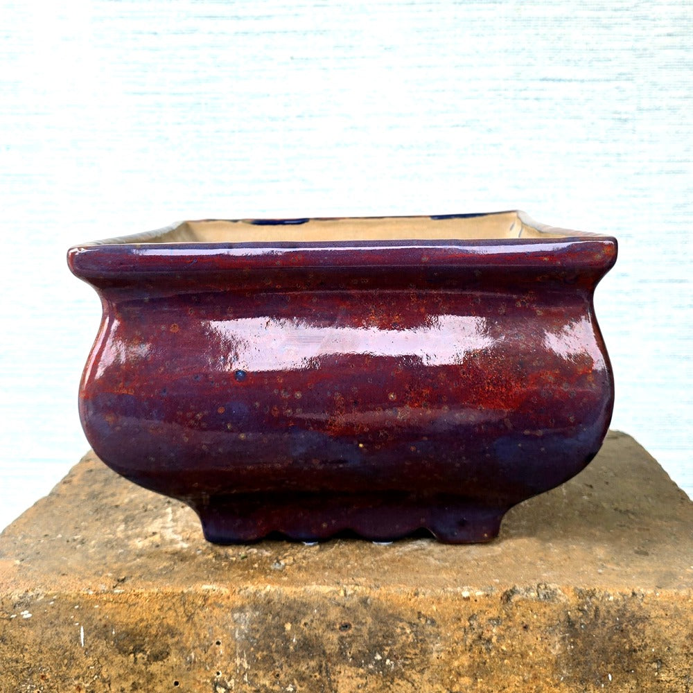 Square Bonsai Pot 24cm x 15.5cm